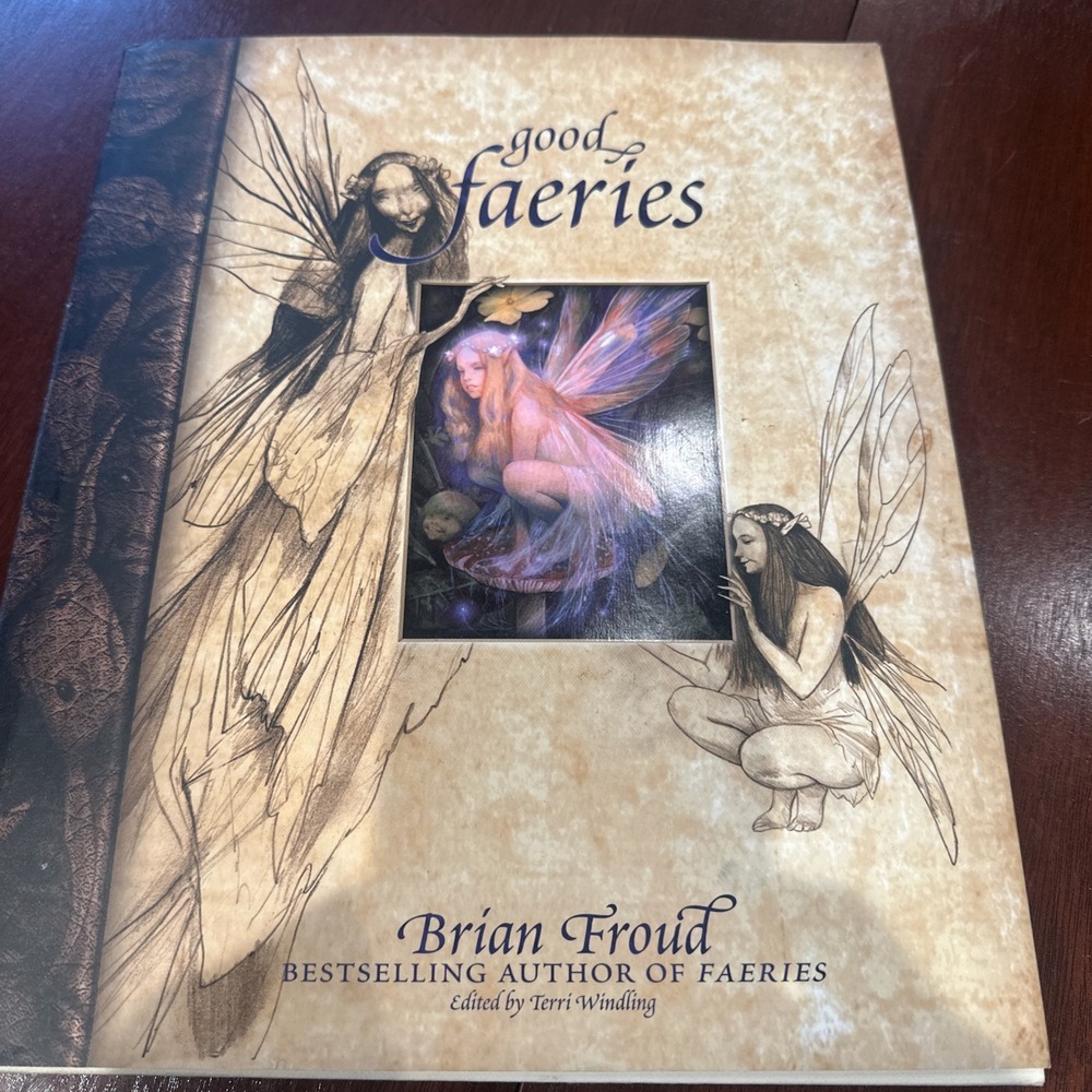 Good Faeries Bad Faeries Hardcover Book Brian Froud Fantasy Art Whimsical Fairy